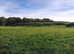 LIVERY South Ayrshire *all year turnout*