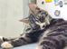 Two boys needing homes