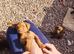 Toy jackapoo pups for sale