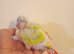 Hand rearing Baby suncheeck conure