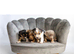Rainbow coloured Jack Russell’s