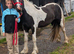 Child best friend 2yr filly to make 14.1