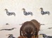Beautiful home-reared Miniature Dachshund Puppies