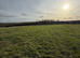 DIY Grazing