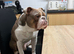 Looking for forever home