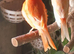 Diffrent canaries