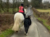 Lovely Pretty Welsh pony