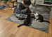 2 10 month old kittens