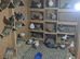 For sale pigeons