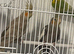 Male and female