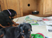 Lovely Euro Doberman pups