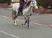 Ride and drive first pony