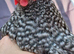 4 x pekin bantam girls