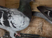 Quality racing pigeons for sale in Glasgow