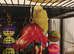 Beautiful baby budgies