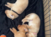 Puppies for sale