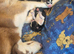 Siberian husky puppies