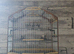 Fancy goldfinch or mule cage
