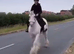 Chunky cob - allrounder