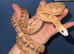 Female adult scaleless corn snake