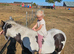 Woody 4 year old cob
