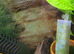 Shrimp tank setup complete