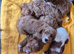Beautiful red apricot F1 Cavapoo boy