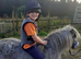 Miniature Spotted mare, reg the BSPSoc.