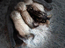 Kittens for sale
