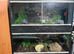2 Python and set up