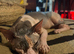 Sphinx