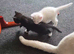 Beautiful kittens raised with children