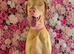 Cream white pink Doberman stud