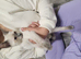 Sphynx cross ragdoll kittens ready now