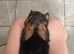 Stunning female pup mollie ready now