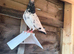 High quality vaccinated high flyer