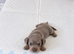 Amazing colours miniature dachshund puppies