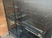 Cage