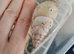 Limicolaria agathina baby snails x 3