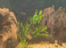 Blue Moscow Guppies