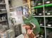 Female Pied Yemen Chameleons at Birmingham Reptiles