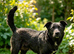 MEET JEMMI – A GENTLE GIRL WHO JUST NEEDS A LITTLE TIME