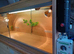 Vivarium LARGE 4 foot with electrics
