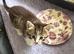 2 adorable kittens for sale
