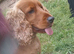 arlo