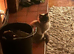 12 yo neutered male Ragdoll seeks a nice warm lap