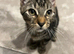 Looking to rehome