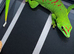 Madagascar gaint day gecko