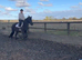 Friesianxarab