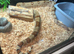Boa for rehoming
